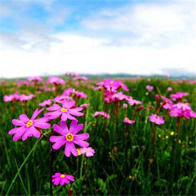 一分钟pk10赛车App